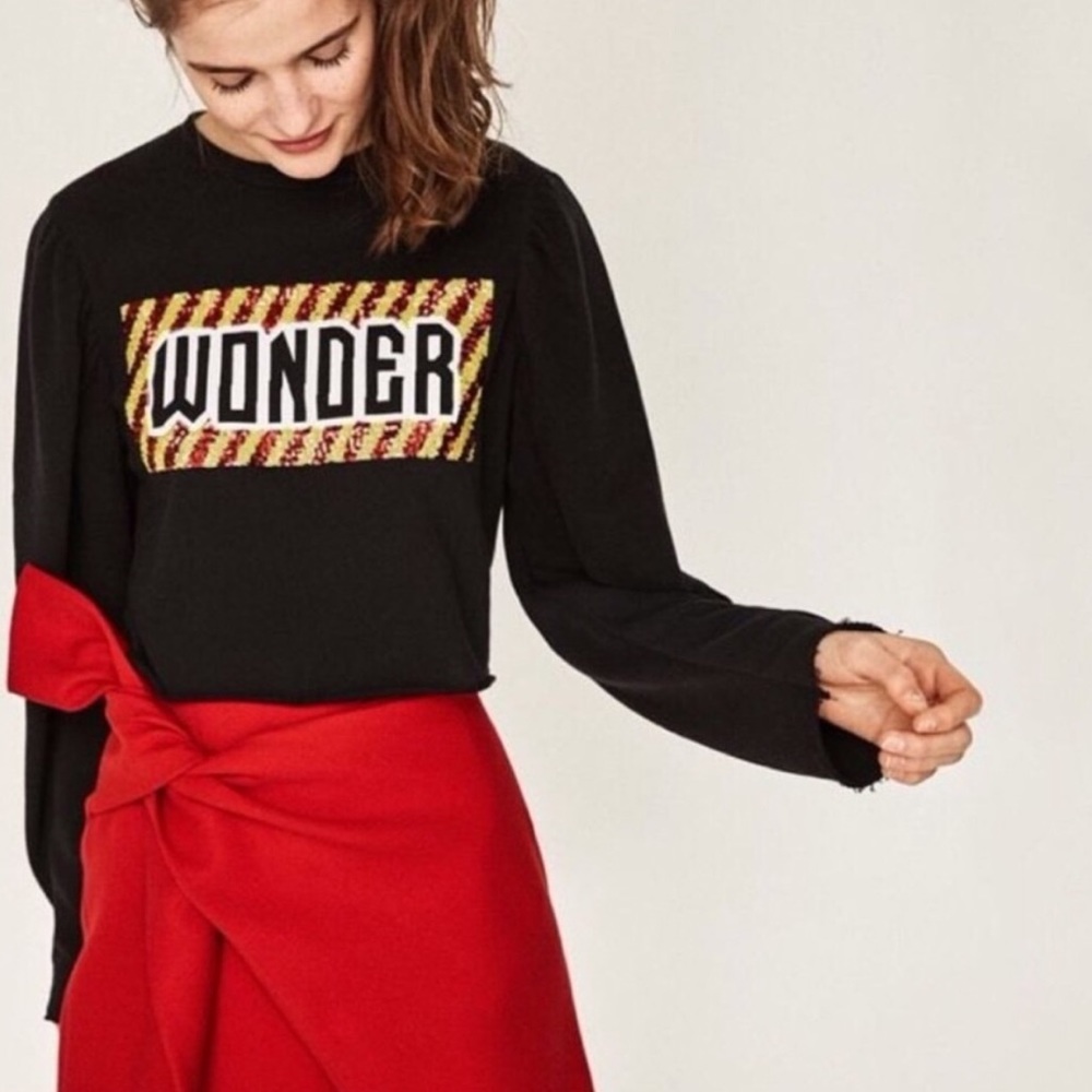 ZARA Trafaluc CROPPED WONDER SEQUIN SWEAT TOP S